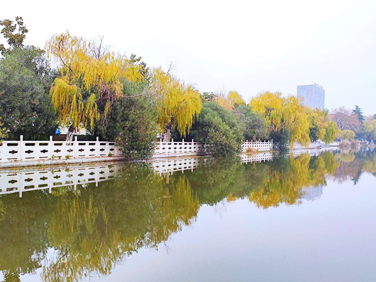 萧县龙湖公园图片